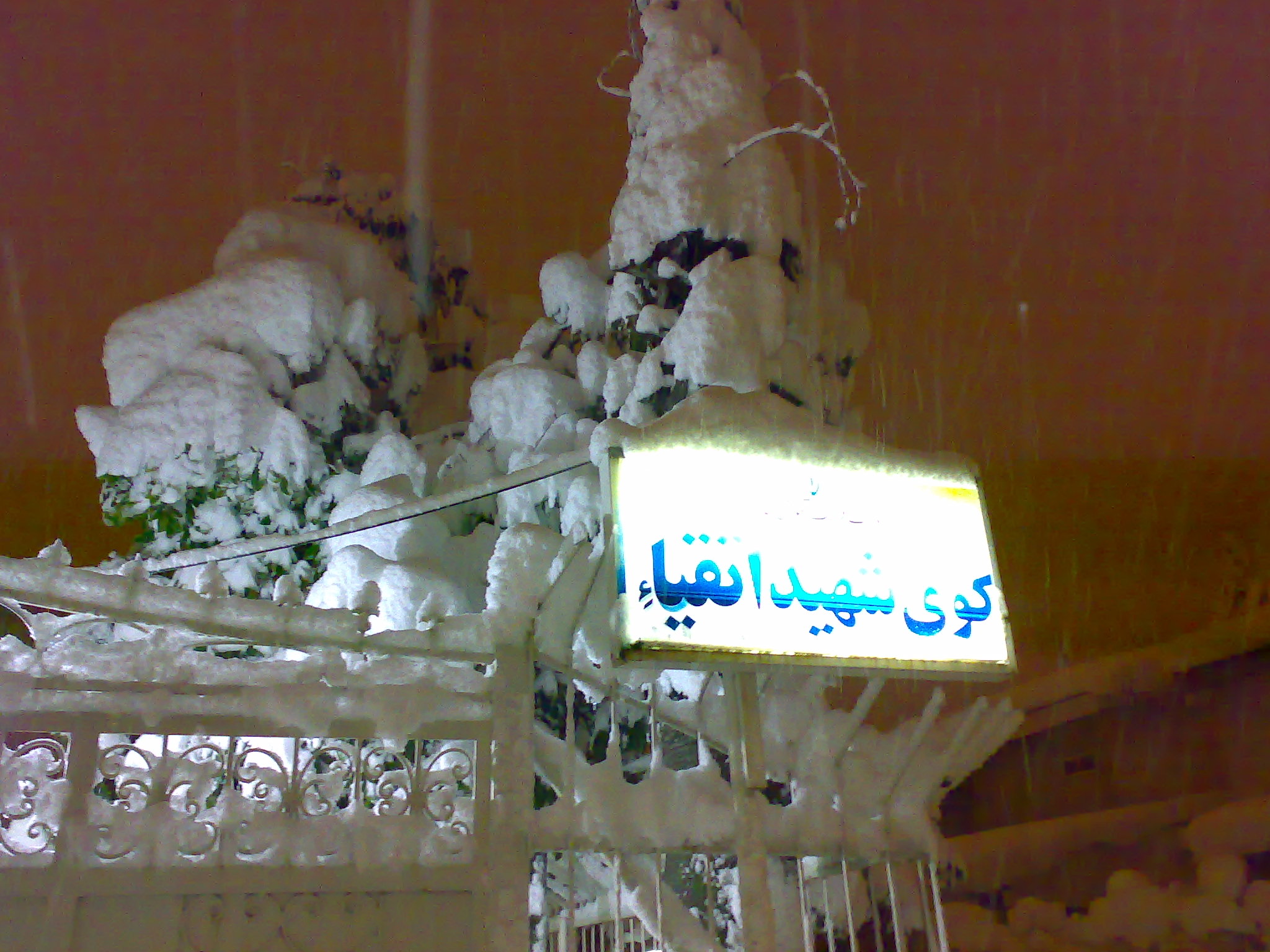 تصویر کوچک