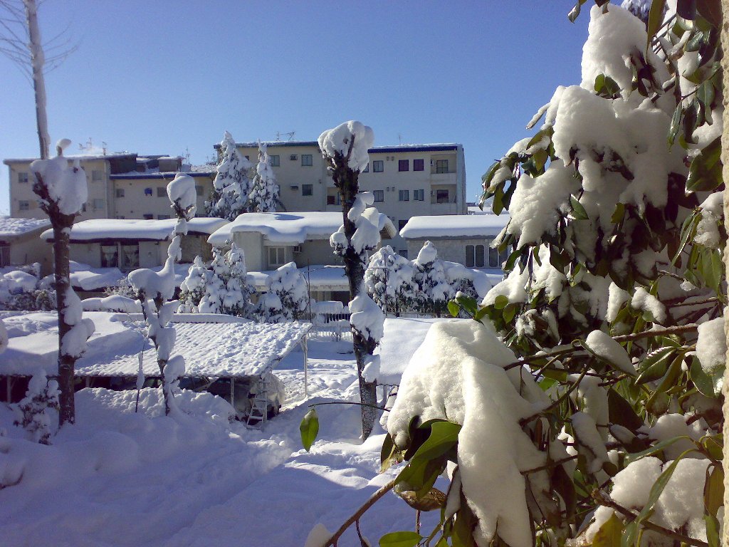 تصویر کوچک