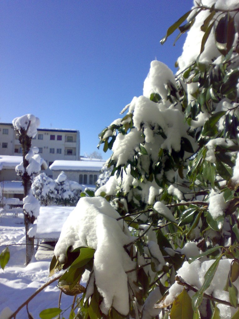 تصویر کوچک