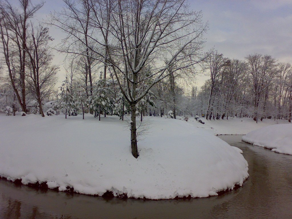تصویر کوچک