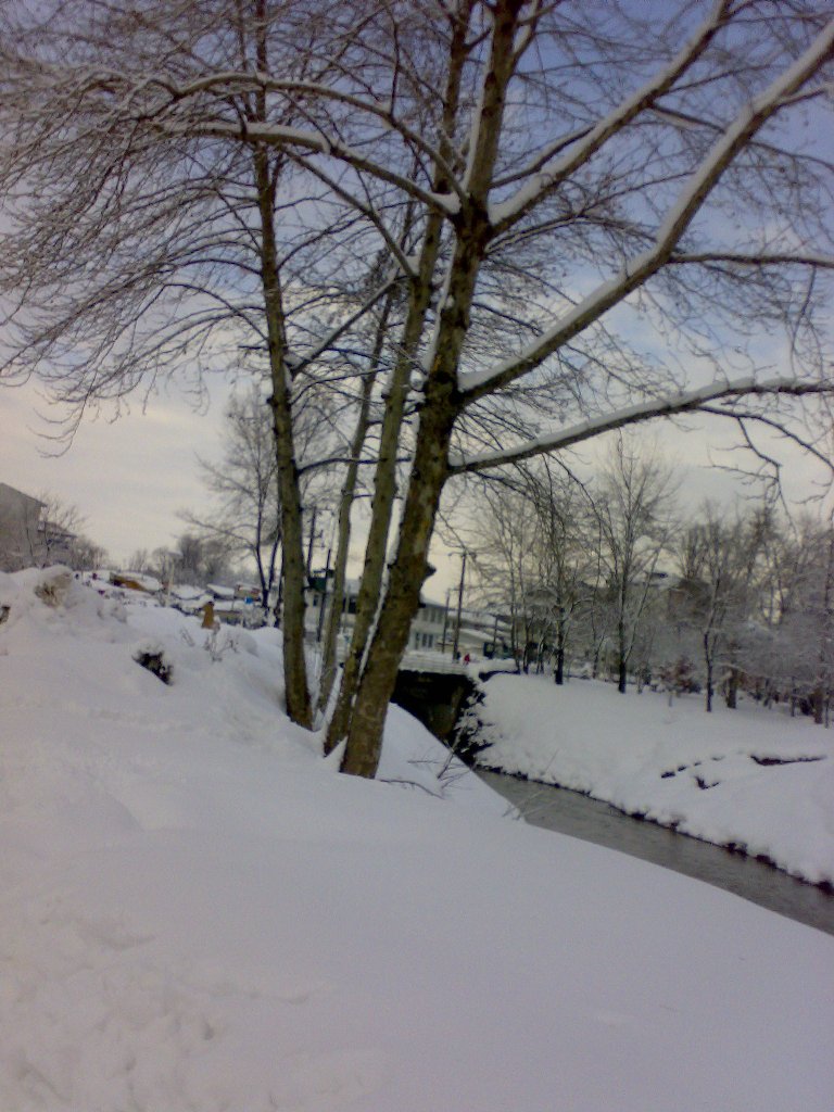 تصویر کوچک