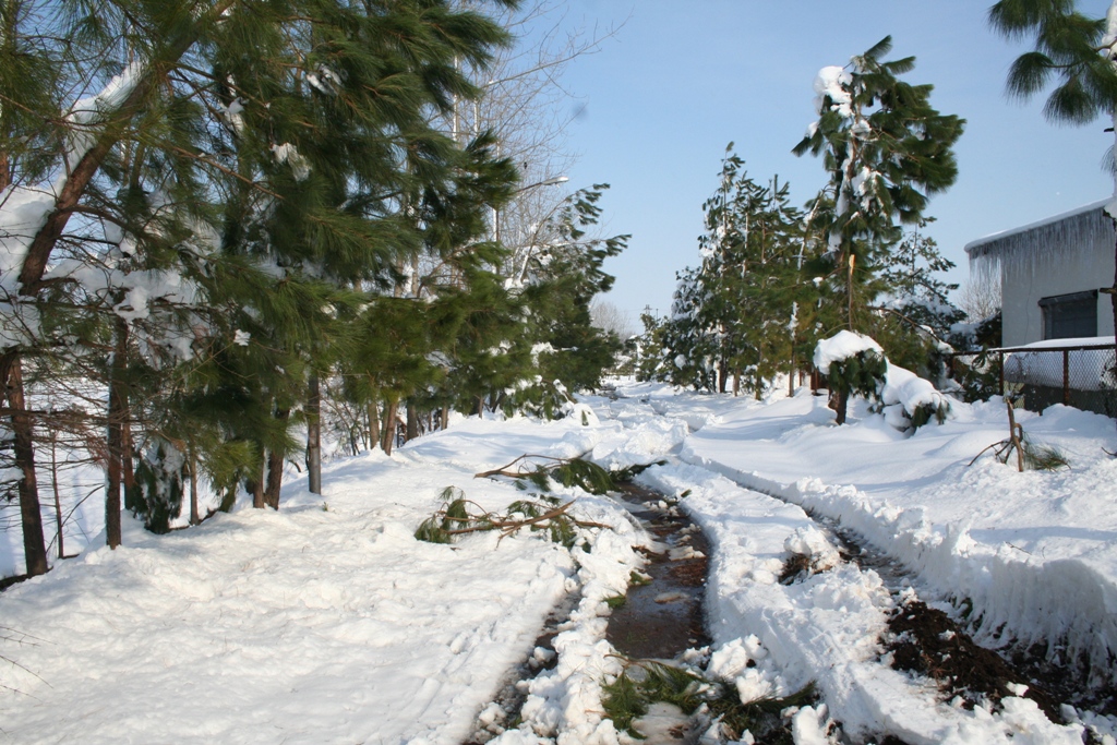 تصویر کوچک